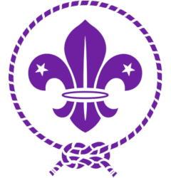 WOSM logo